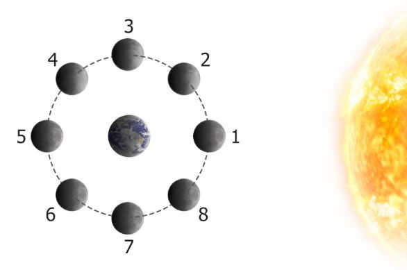 The Moon's rotation around the Earth