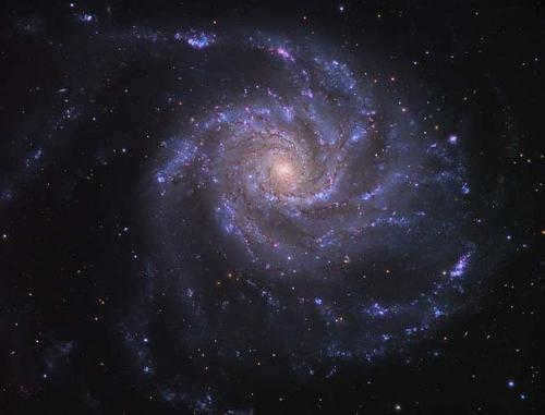 Interesting facts about constellations. Interesting facts about the constellation of the great bear.