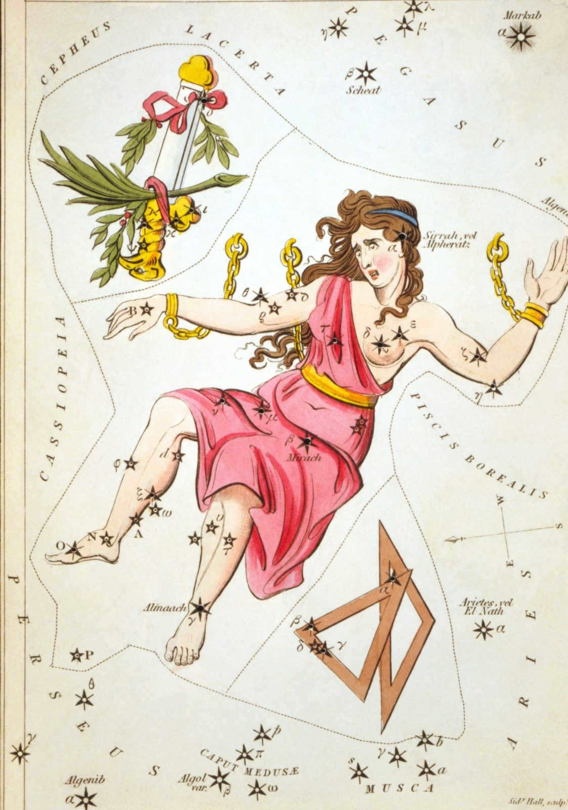 The constellation Andromeda and its most interesting cosmic objects