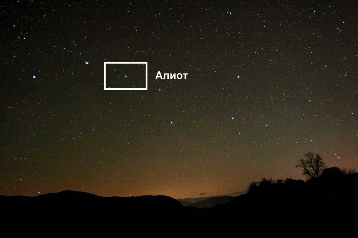 Aliot