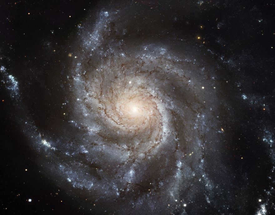 Chopper (Messier 101)
