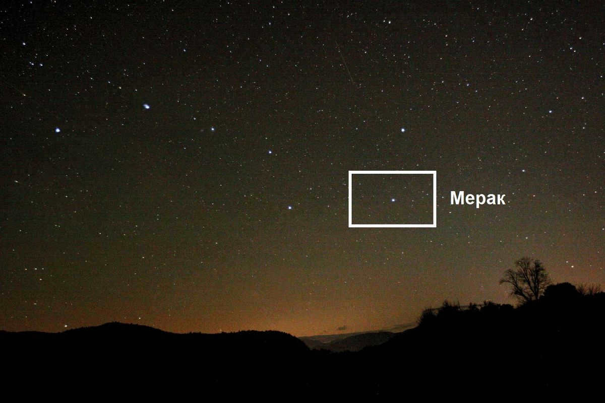 Merak