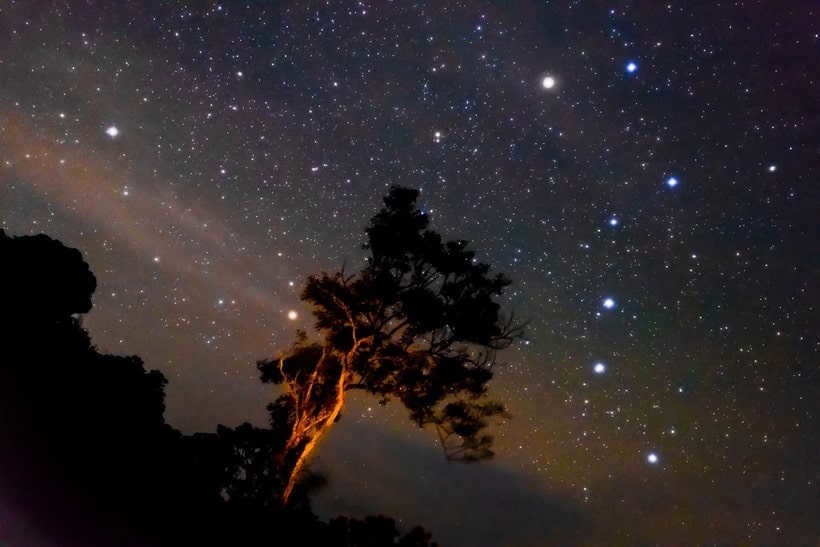 Where is the constellation of the Little Bear?