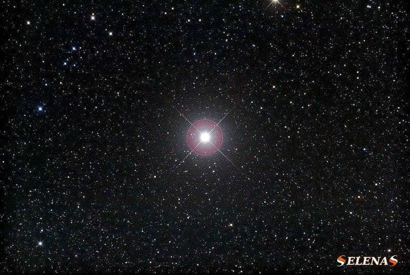 Pollux