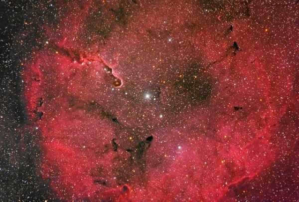 IC 1396