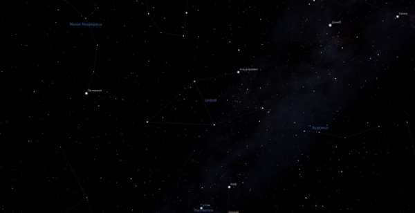Cepheus, view in the planetarium program