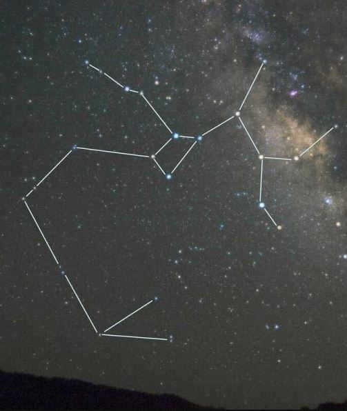 Sagittarius constellation: the brightest objects and peculiarities of observation in the sky