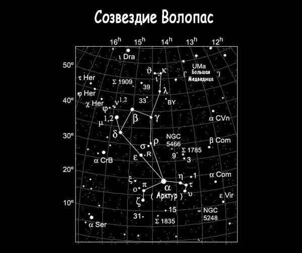 The constellation of Magpus