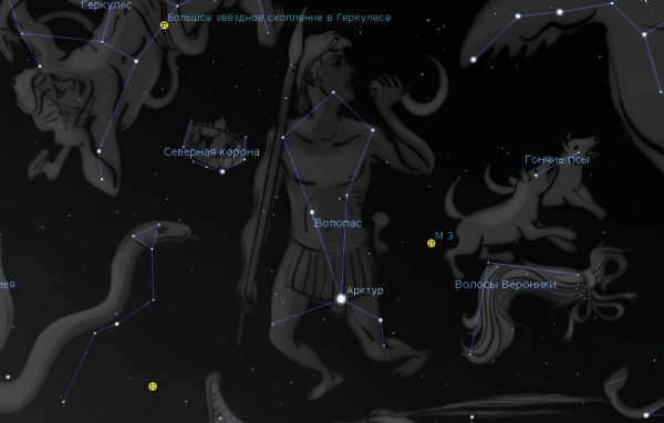 The constellation Volopassus