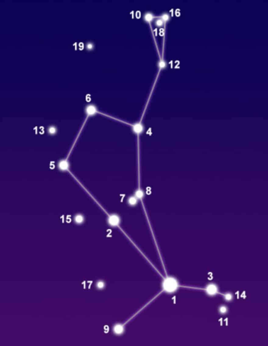 The constellation Volopassus