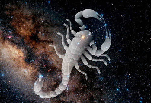 Constellation with the outline of a scorpion.