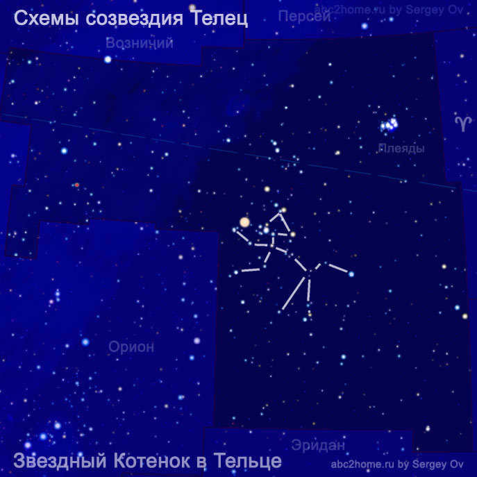 Star Cat