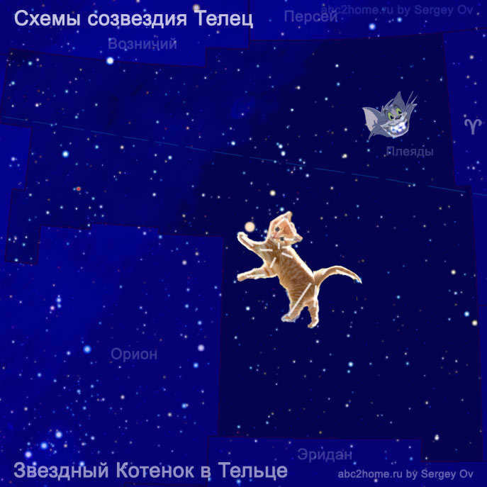 Red Star Kitty and the smile of the Cheshire Cat 