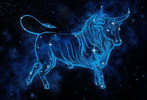 The outline of a bull.