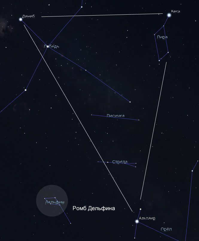 dolphin rhombus asterism in the sky