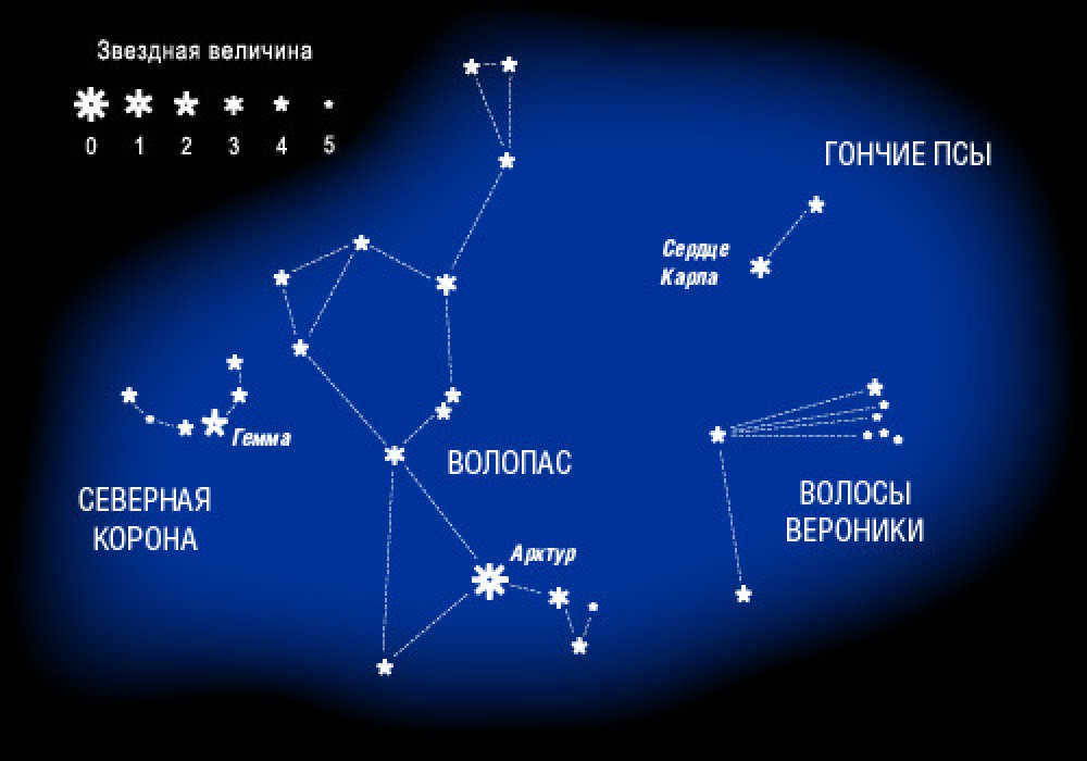 Stellar magnitude of the constellation Volopassus