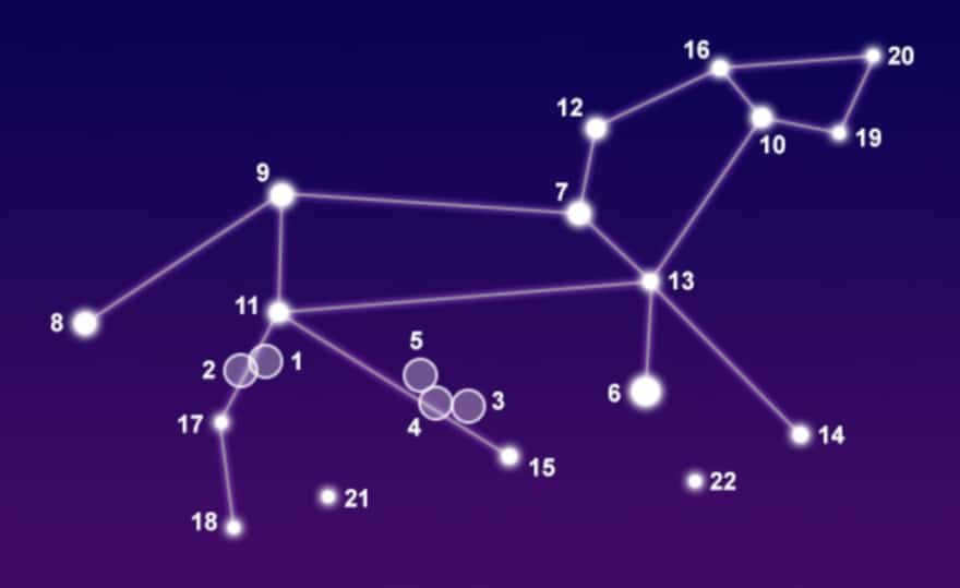 Lion constellation