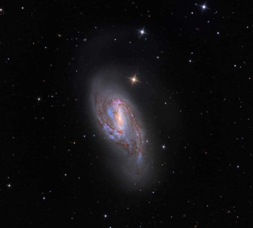 This is an image of M66 (NGC 3627) taken by the infrared camera of the Spitzer telescope. Astronomers believe the distorted shape is due to interactions with M65 and NGC 3628.
