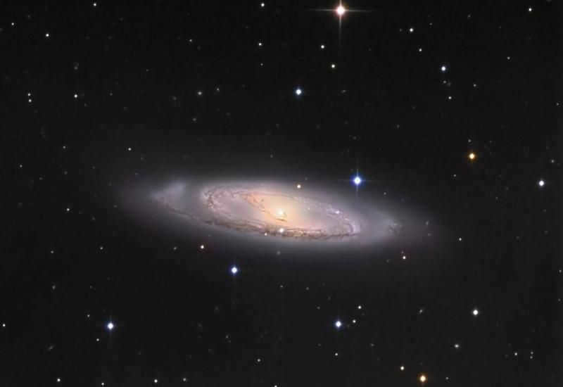 Messier Galaxy 65