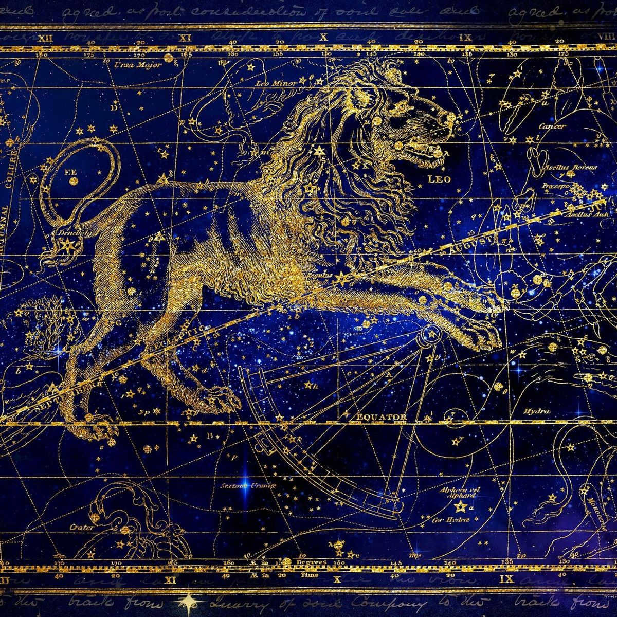 Lion constellation: description and interesting facts