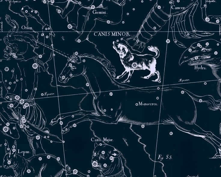 Small Dog, drawing by Jan Hevelius from his atlas of constellations