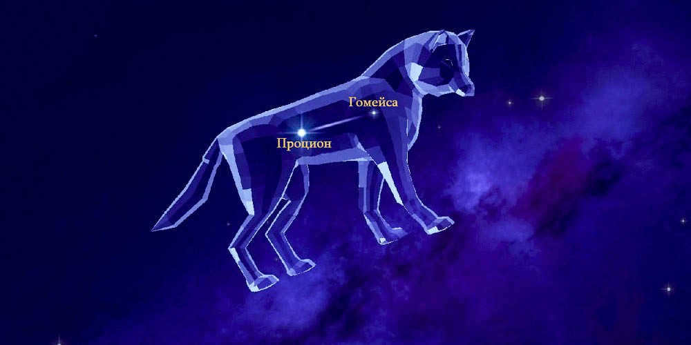Stars of the constellation Small Dog