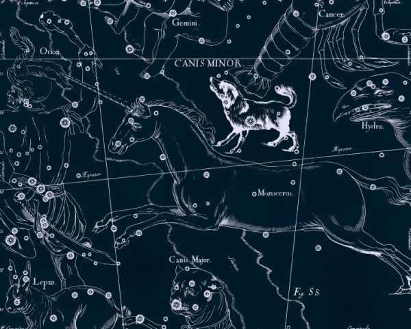 Small Dog, drawing by Jan Hevelius from his atlas of constellations