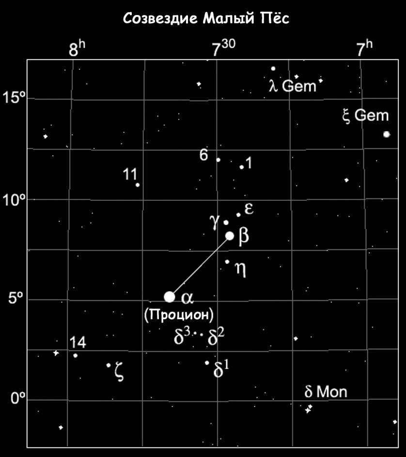 Constellation Small Dog