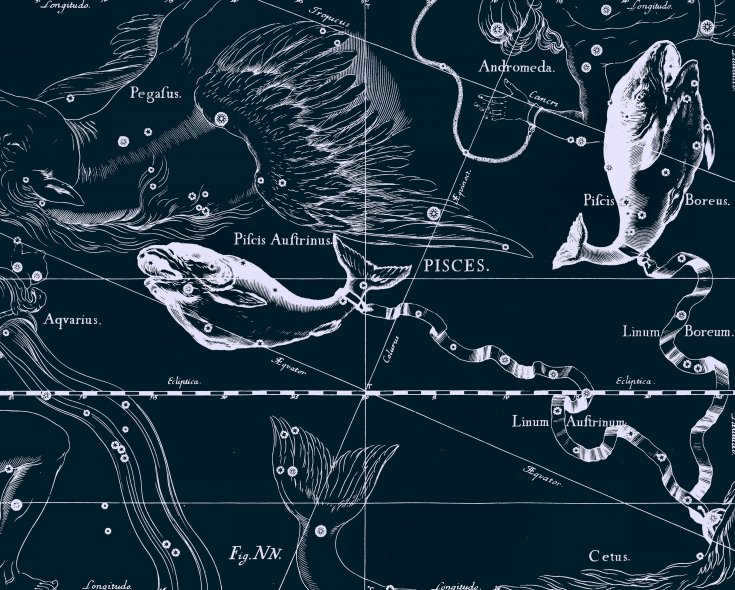 Pisces, drawing by Jan Hevelius from his atlas of constellations