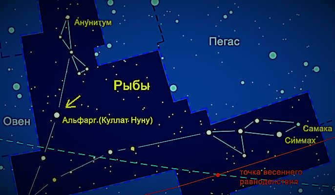 Cullate Nunu star