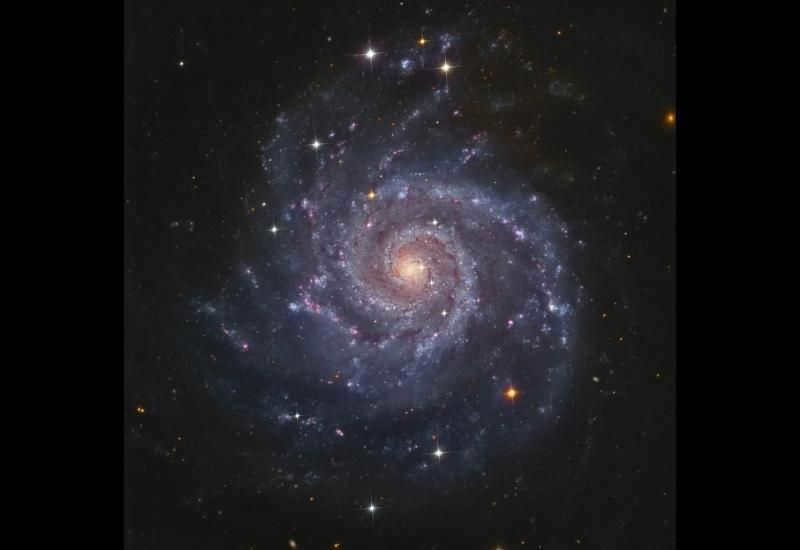 Messier galaxy 74 in the constellation Pisces