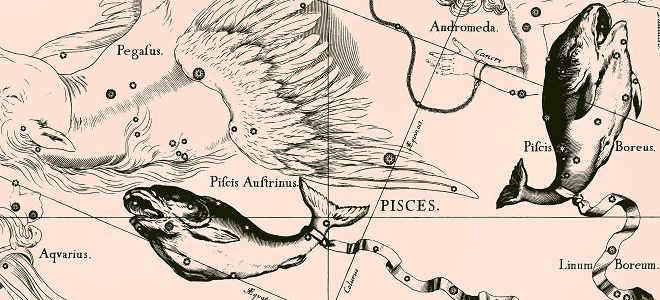 what does the constellation Pisces look like