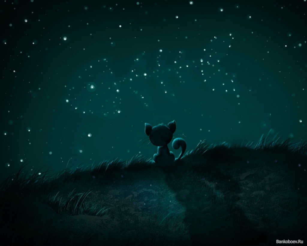 These are the stars that remind me most of Pisces!