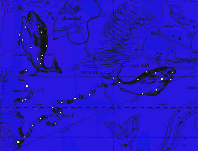pisces_geveliy-zvyozdy.jpg