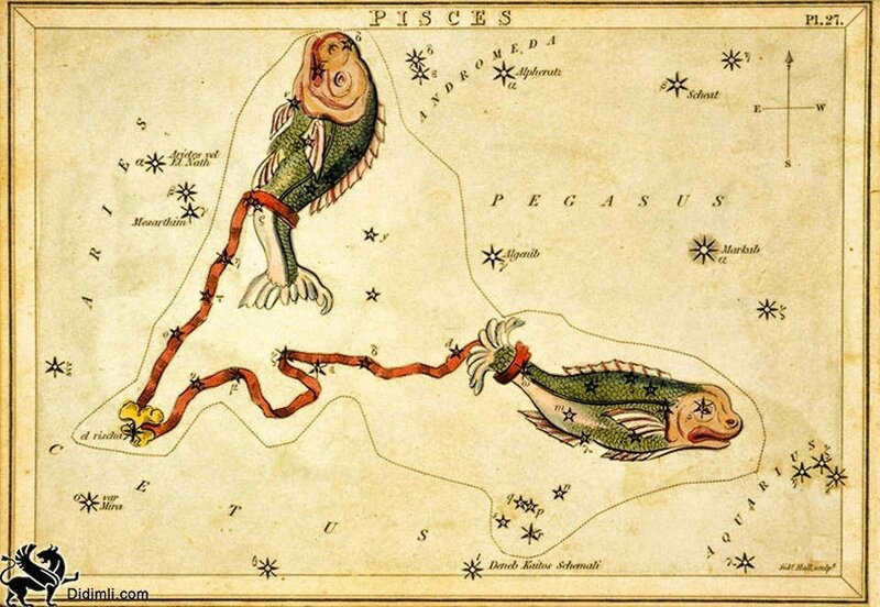 pisces (1).jpg