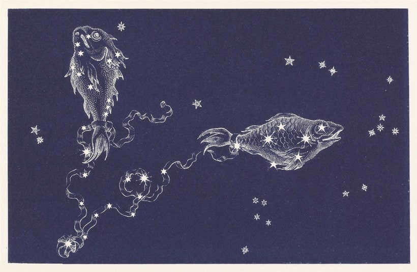 Astronomical characterization of the constellation Pisces