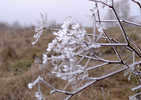 View all photos of the series Winter Fairy Tale