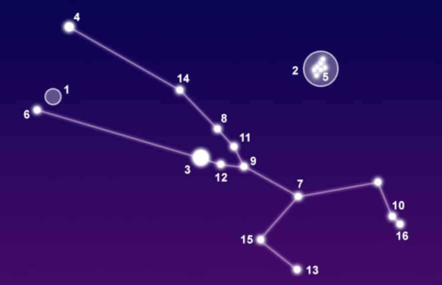 Constellation Taurus
