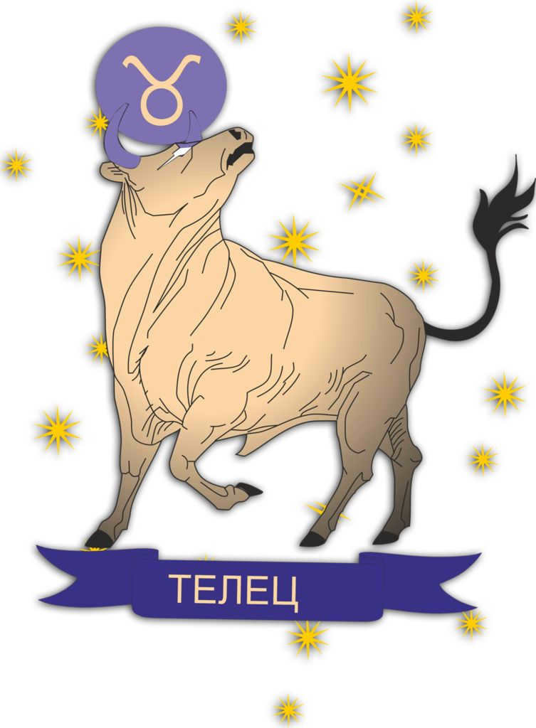 telec-2017-2.png