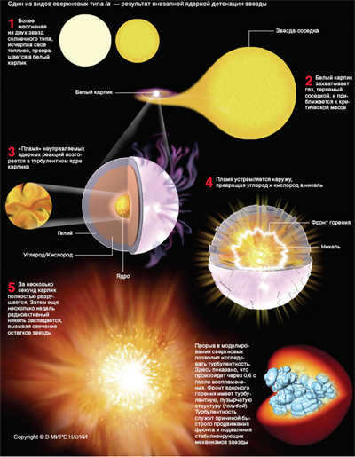 A breakthrough in supernova modeling has made it possible to study turbulence. It shows what happens 0.6 s after ignition. The nuclear combustion front has a turbulent, bubbly structure (blue). Turbulence is the reason for the rapid advance of the front and suppression of the star's stabilizing mechanisms (image: www.sciam.ru)
