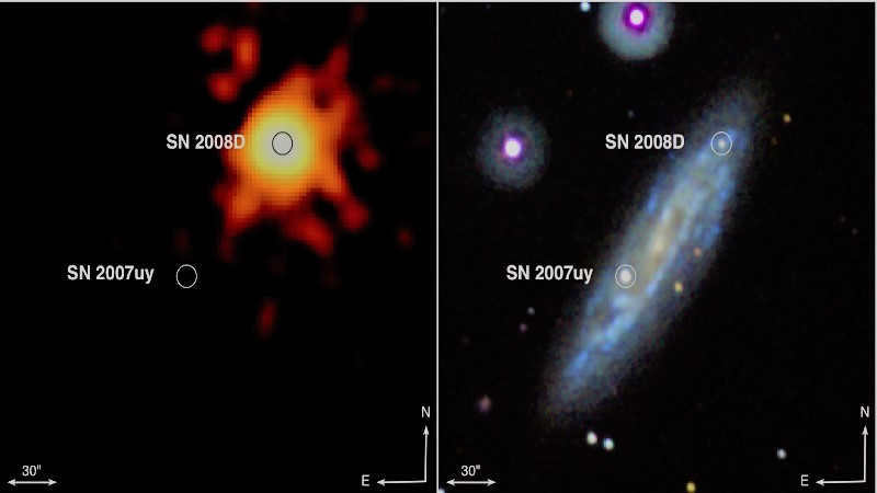 Type Ib supernova SN 2008D