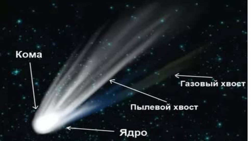 Structure and composition of comets