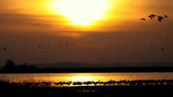 sun