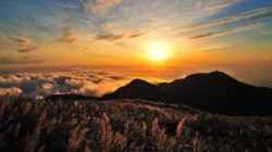 sun