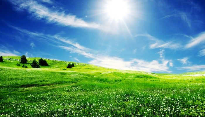 Sun