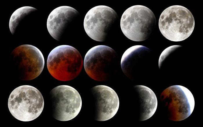 Why the moon does not revolve on its axis