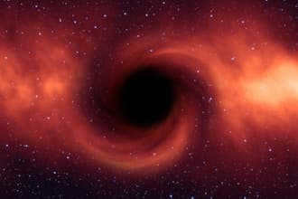 What are black holes? The past and future of stars
