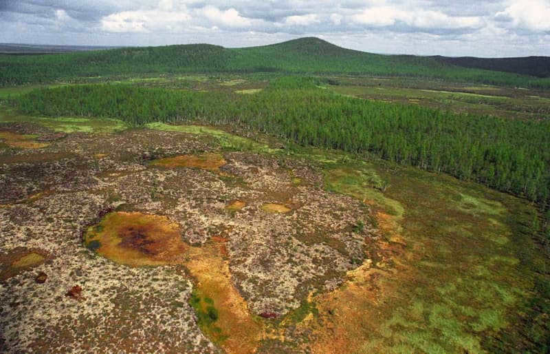 Photo of the Tunguska meteorite impact site (https://nauka.tass.ru/nauka/3949743)