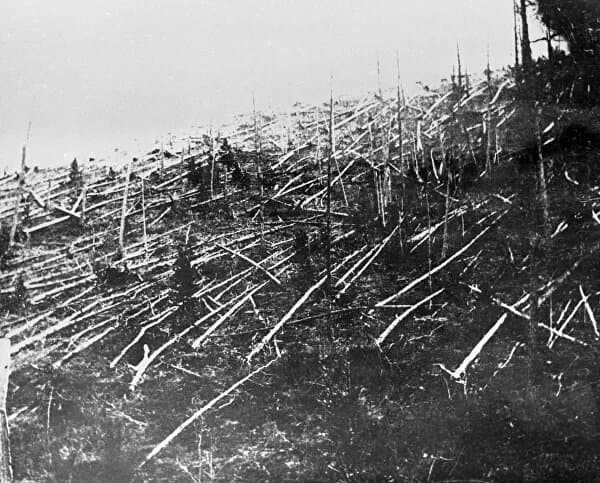 Photo of the aftermath of the Tunguska meteorite fall - this is how the taiga around the crash site looked in 1927 (https://ria.ru/20190627/1555960856.html).