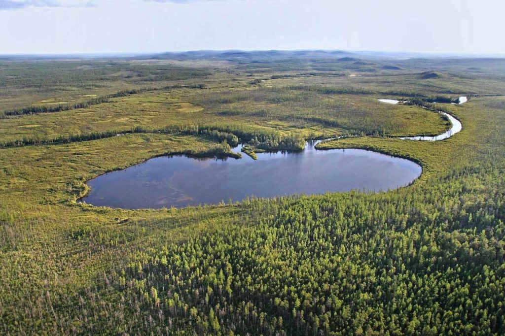 The Tunguska Nature Reserve